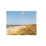 Outer Cape Cod Rentals By Owner